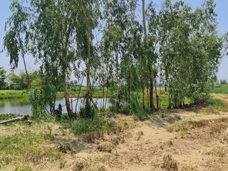For rent and for sale land in Mueang Chiang Rai, Chiang Rai