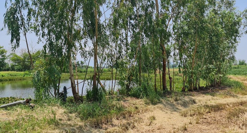 For rent land in Mueang Chiang Rai, Chiang Rai