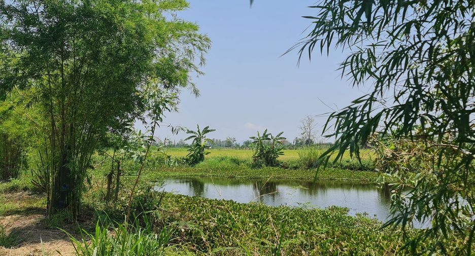 For rent land in Mueang Chiang Rai, Chiang Rai