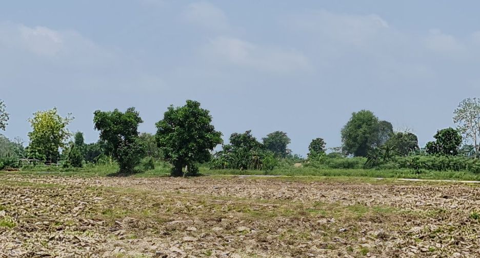 For rent land in Mueang Chiang Rai, Chiang Rai