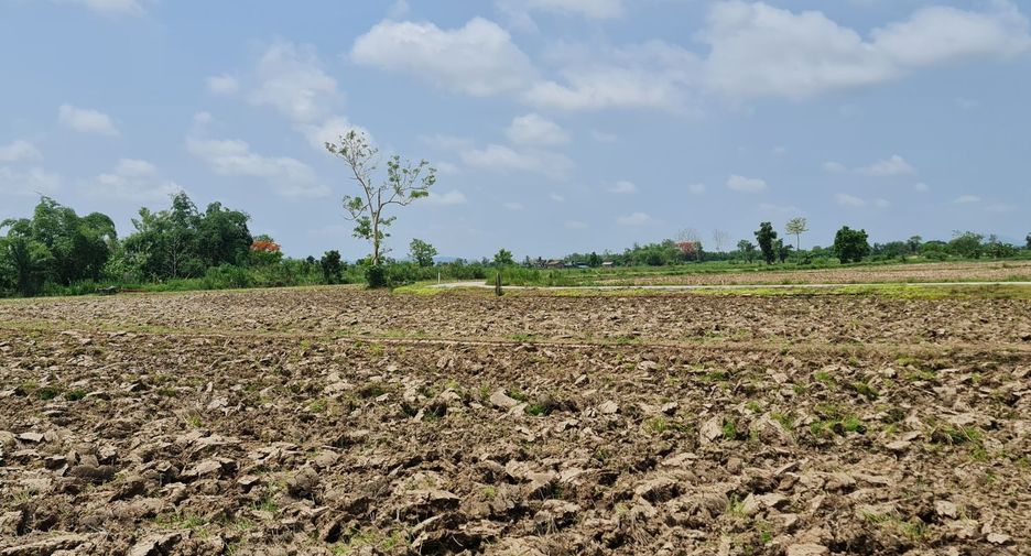 For rent land in Mueang Chiang Rai, Chiang Rai