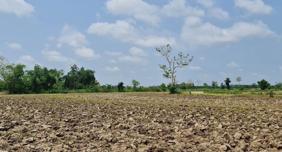 For rent land in Mueang Chiang Rai, Chiang Rai