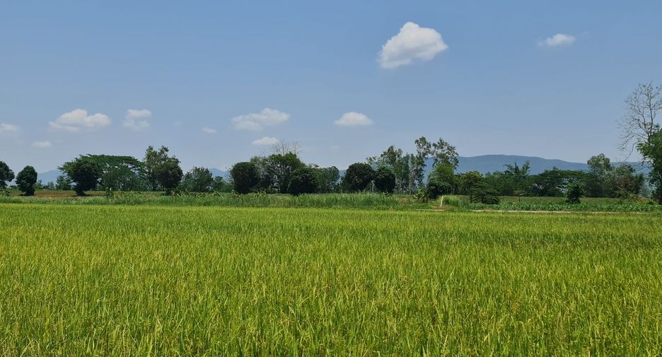 For rent land in Mueang Chiang Rai, Chiang Rai