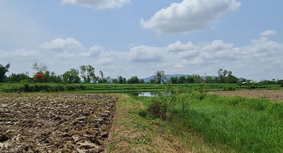 For rent land in Mueang Chiang Rai, Chiang Rai
