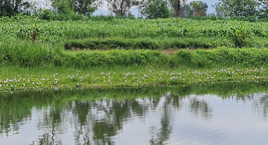 For rent land in Mueang Chiang Rai, Chiang Rai