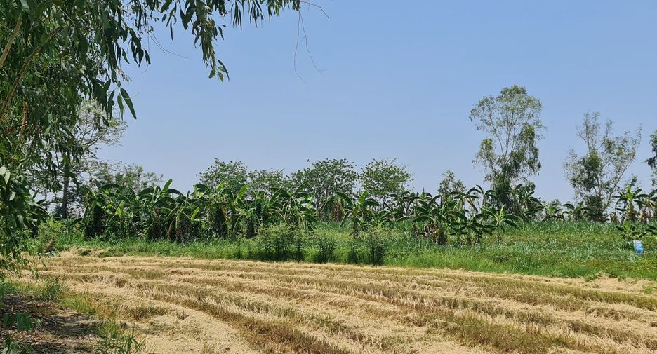 For rent land in Mueang Chiang Rai, Chiang Rai