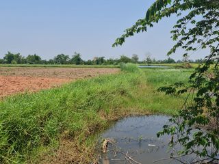 For rent and for sale land in Mueang Chiang Rai, Chiang Rai