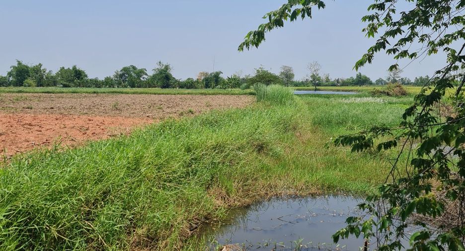 For rent land in Mueang Chiang Rai, Chiang Rai