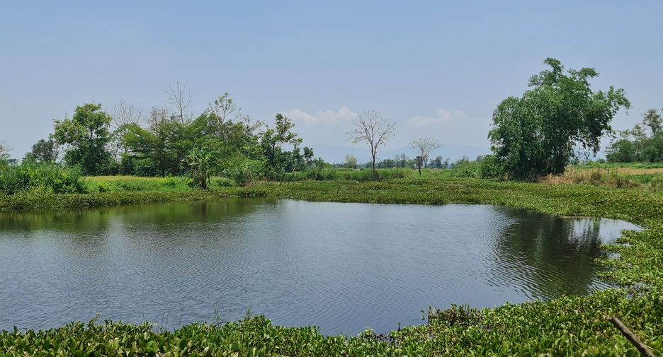For rent land in Mueang Chiang Rai, Chiang Rai