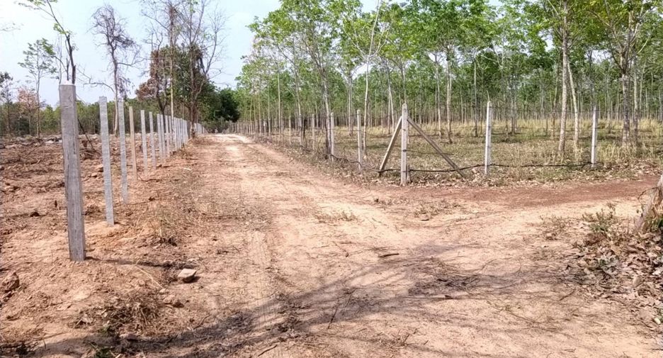 Продажа Участок в Phen, Удонтани