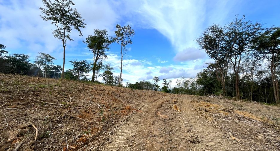ขาย ที่ดิน ใน ตะกั่วทุ่ง, พังงา