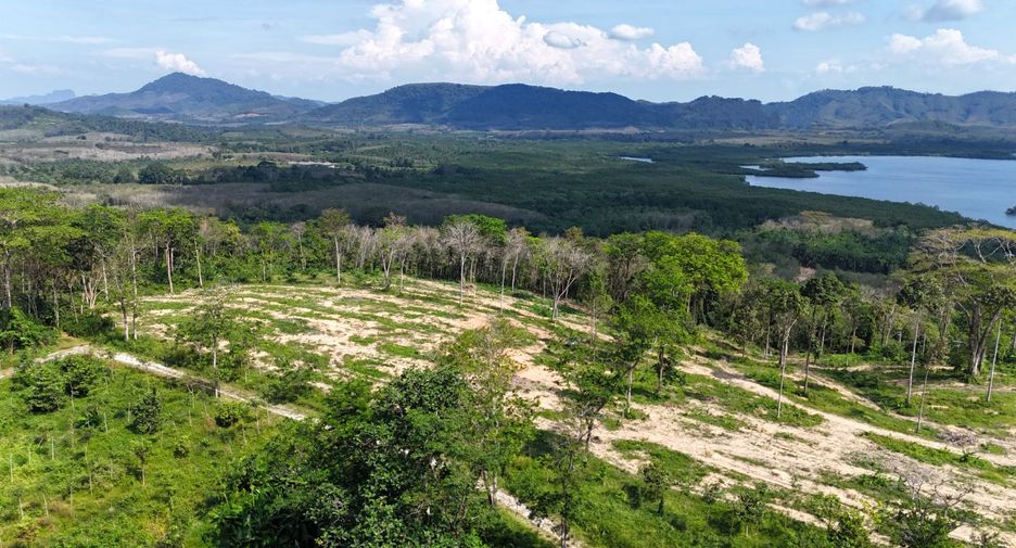 ขาย ที่ดิน ใน ตะกั่วทุ่ง, พังงา