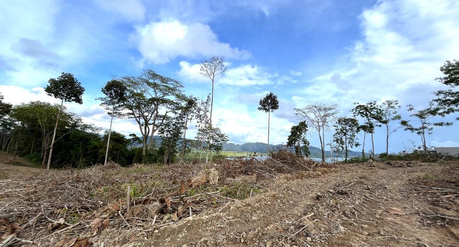 ขาย ที่ดิน ใน ตะกั่วทุ่ง, พังงา