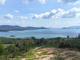 For sale land in Takua Thung, Phang Nga