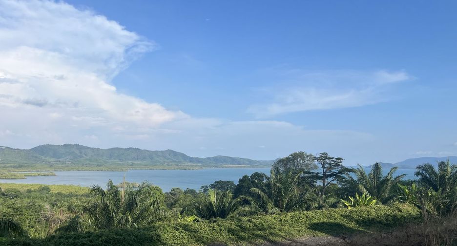 ขาย ที่ดิน ใน ตะกั่วทุ่ง, พังงา