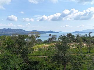 For sale land in Takua Thung, Phang Nga