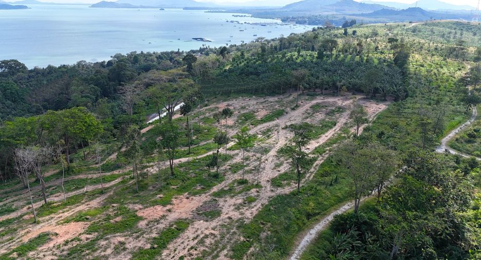 ขาย ที่ดิน ใน ตะกั่วทุ่ง, พังงา