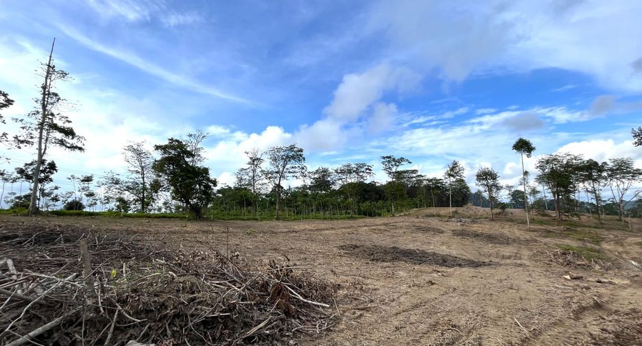 ขาย ที่ดิน ใน ตะกั่วทุ่ง, พังงา