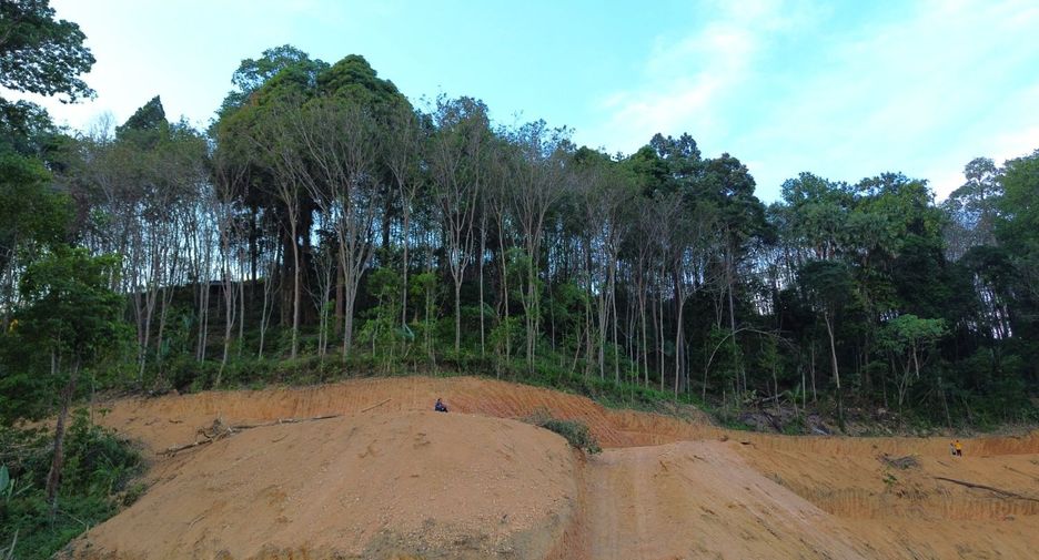 For rent and for sale land in Takua Thung, Phang Nga