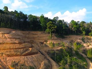 For rent and for sale land in Takua Thung, Phang Nga