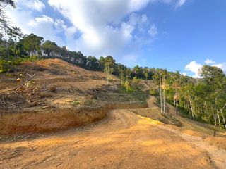 For rent and for sale land in Takua Thung, Phang Nga