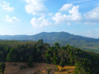 For rent and for sale land in Takua Thung, Phang Nga