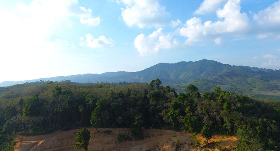 For rent and for sale land in Takua Thung, Phang Nga