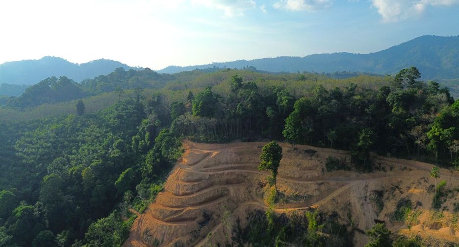 For rent and for sale land in Takua Thung, Phang Nga