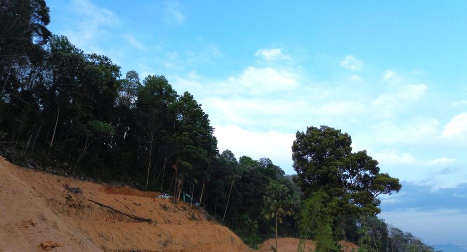 For rent and for sale land in Takua Thung, Phang Nga