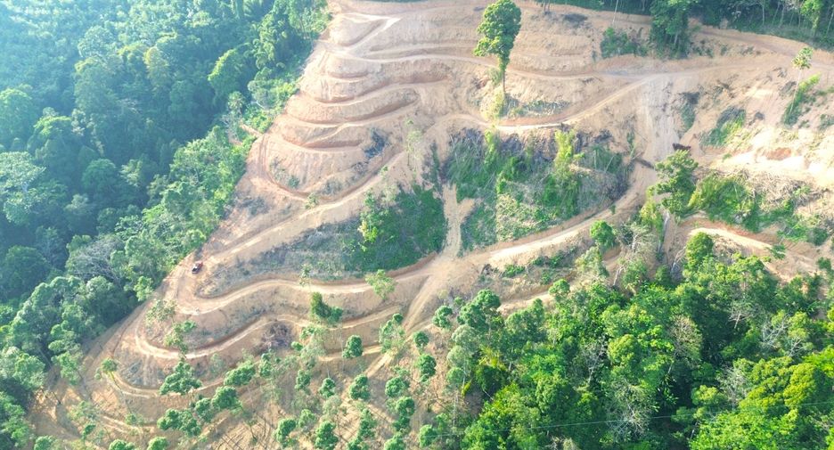For rent and for sale land in Takua Thung, Phang Nga