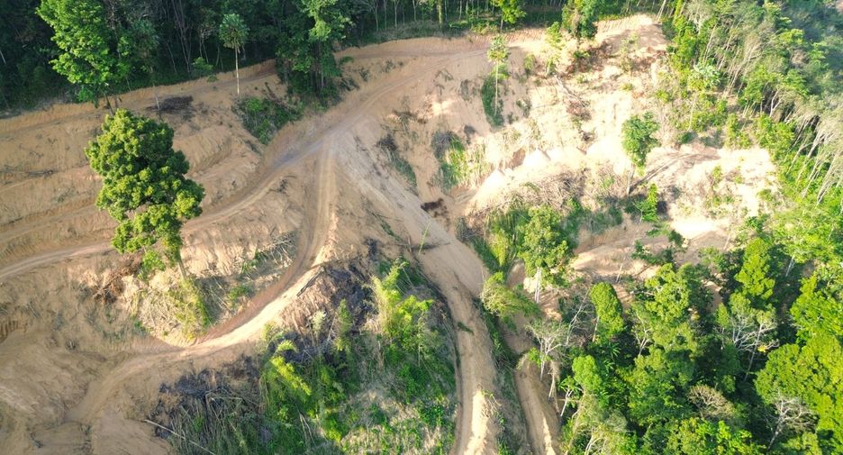 For rent and for sale land in Takua Thung, Phang Nga