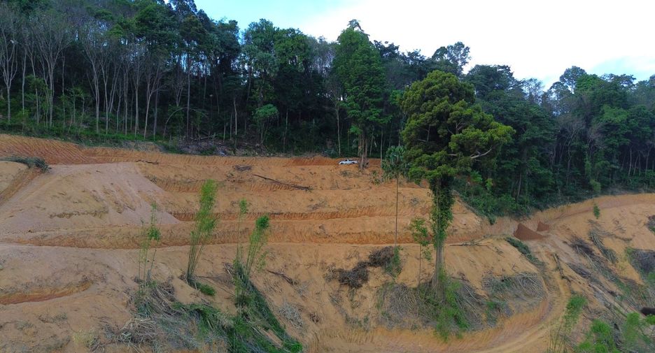 For rent and for sale land in Takua Thung, Phang Nga