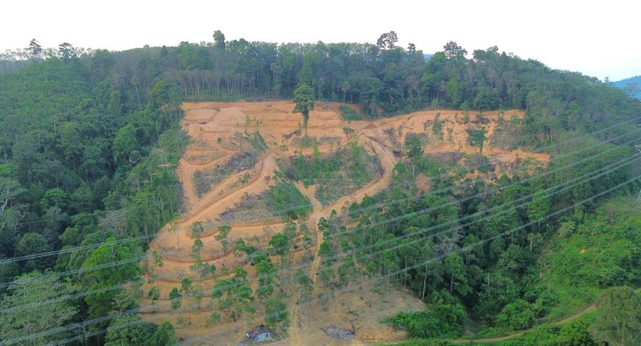 For rent and for sale land in Takua Thung, Phang Nga