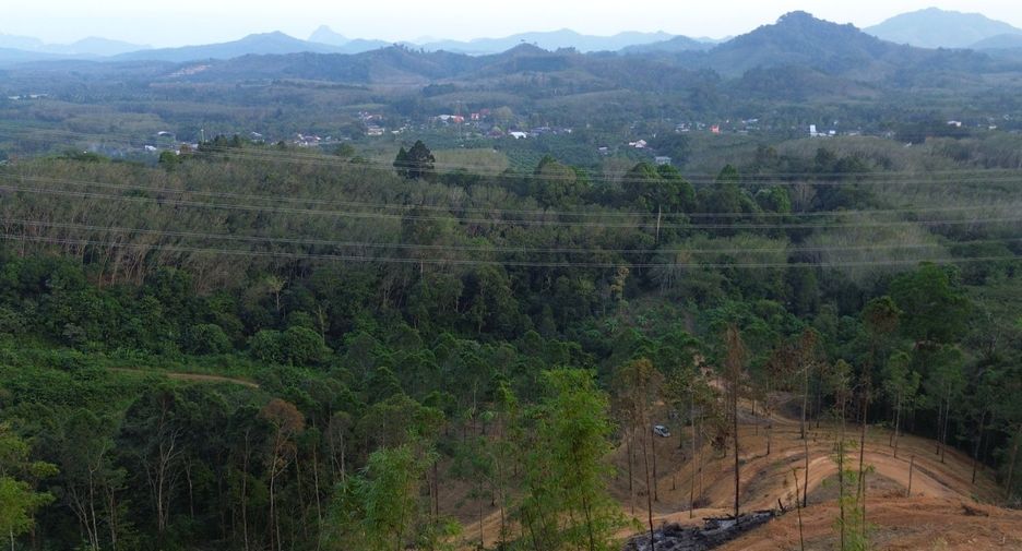 For rent and for sale land in Takua Thung, Phang Nga