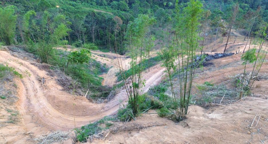 For rent and for sale land in Takua Thung, Phang Nga