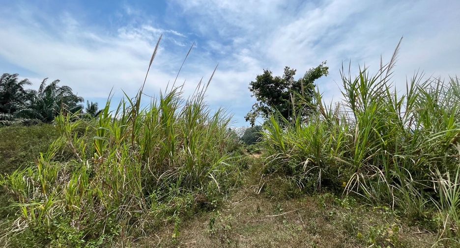 For sale land in Takua Pa, Phang Nga