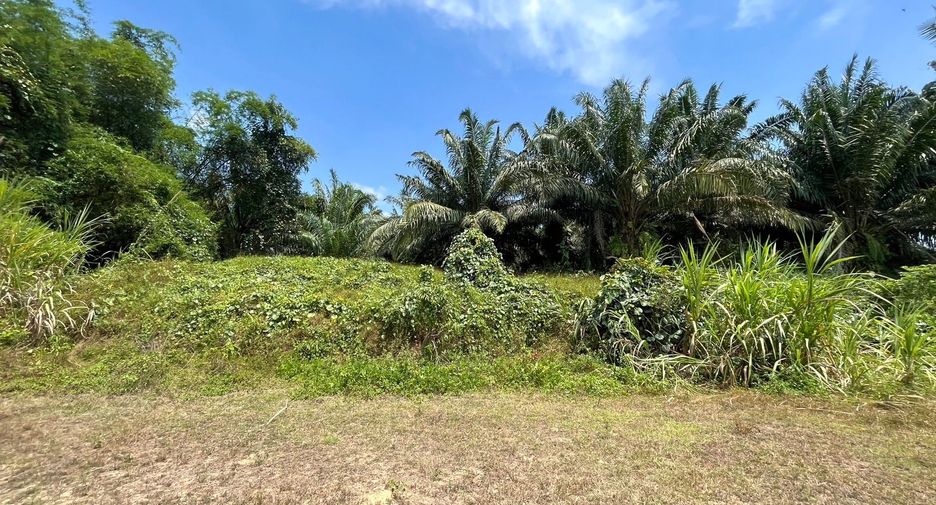 For sale land in Takua Pa, Phang Nga