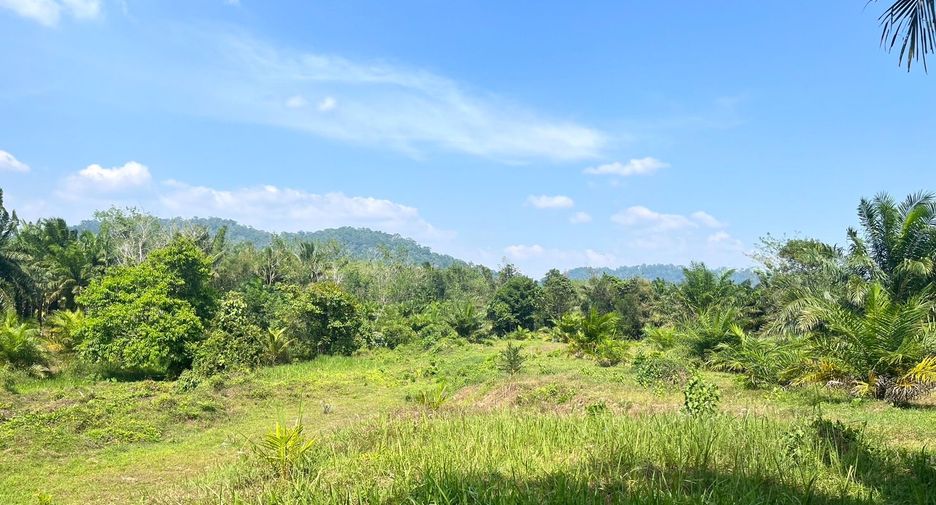 For sale land in Takua Pa, Phang Nga