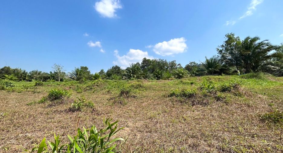 For sale land in Takua Pa, Phang Nga