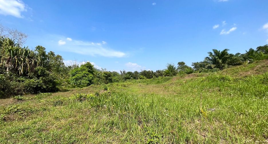 For sale land in Takua Pa, Phang Nga