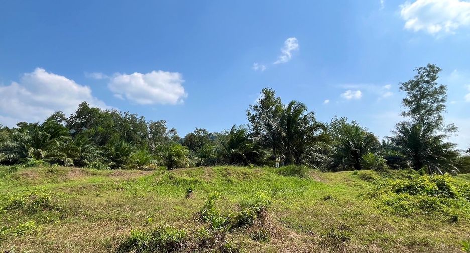 For sale land in Takua Pa, Phang Nga