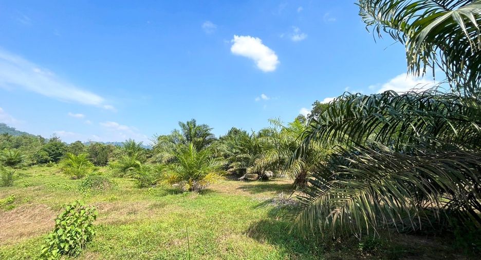 For sale land in Takua Pa, Phang Nga