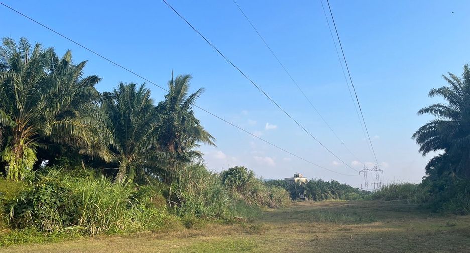 For sale land in Takua Pa, Phang Nga