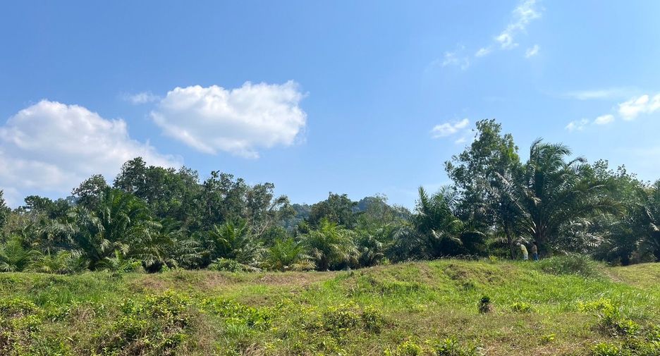 For sale land in Takua Pa, Phang Nga