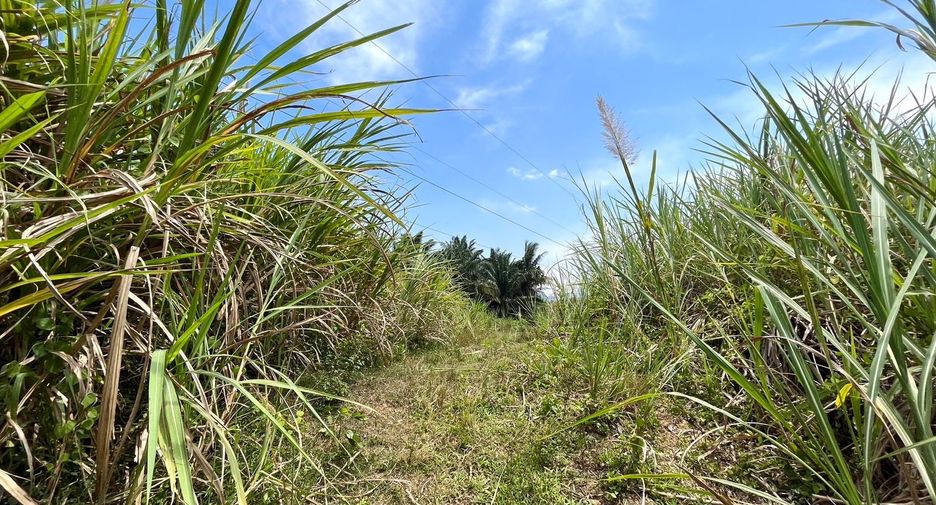 For sale land in Takua Pa, Phang Nga