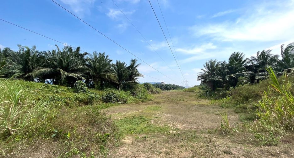 For sale land in Takua Pa, Phang Nga