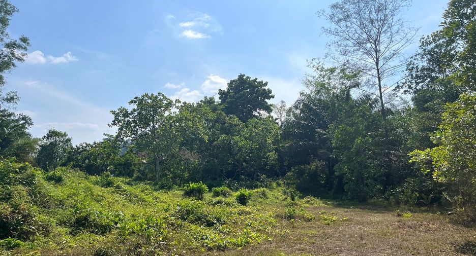 For sale land in Takua Pa, Phang Nga