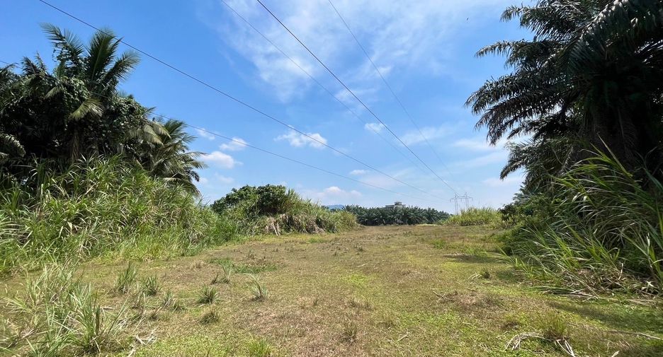 For sale land in Takua Pa, Phang Nga