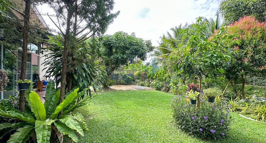 For rent and for sale 3 bedrooms house in Doi Saket, Chiang Mai
