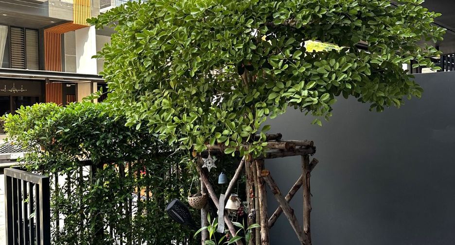 For rent 3 bedrooms house in Suan Luang, Bangkok